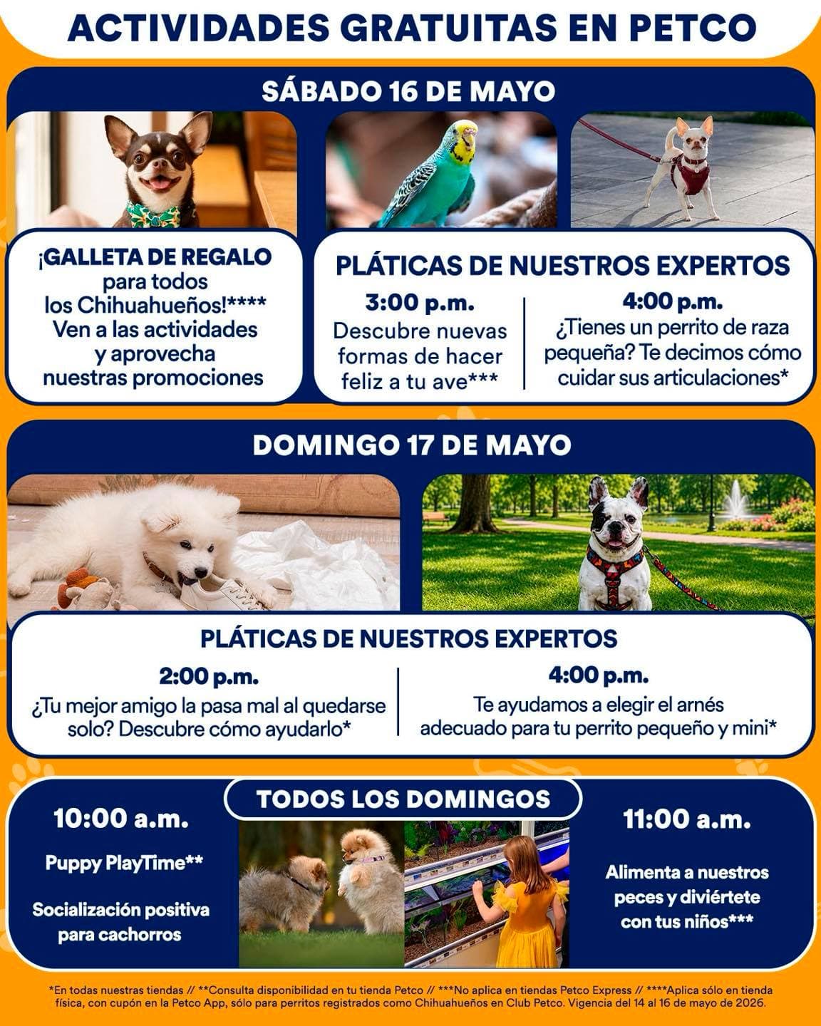 Actividades Gratuitas en Petco 16 y 17 de mayo