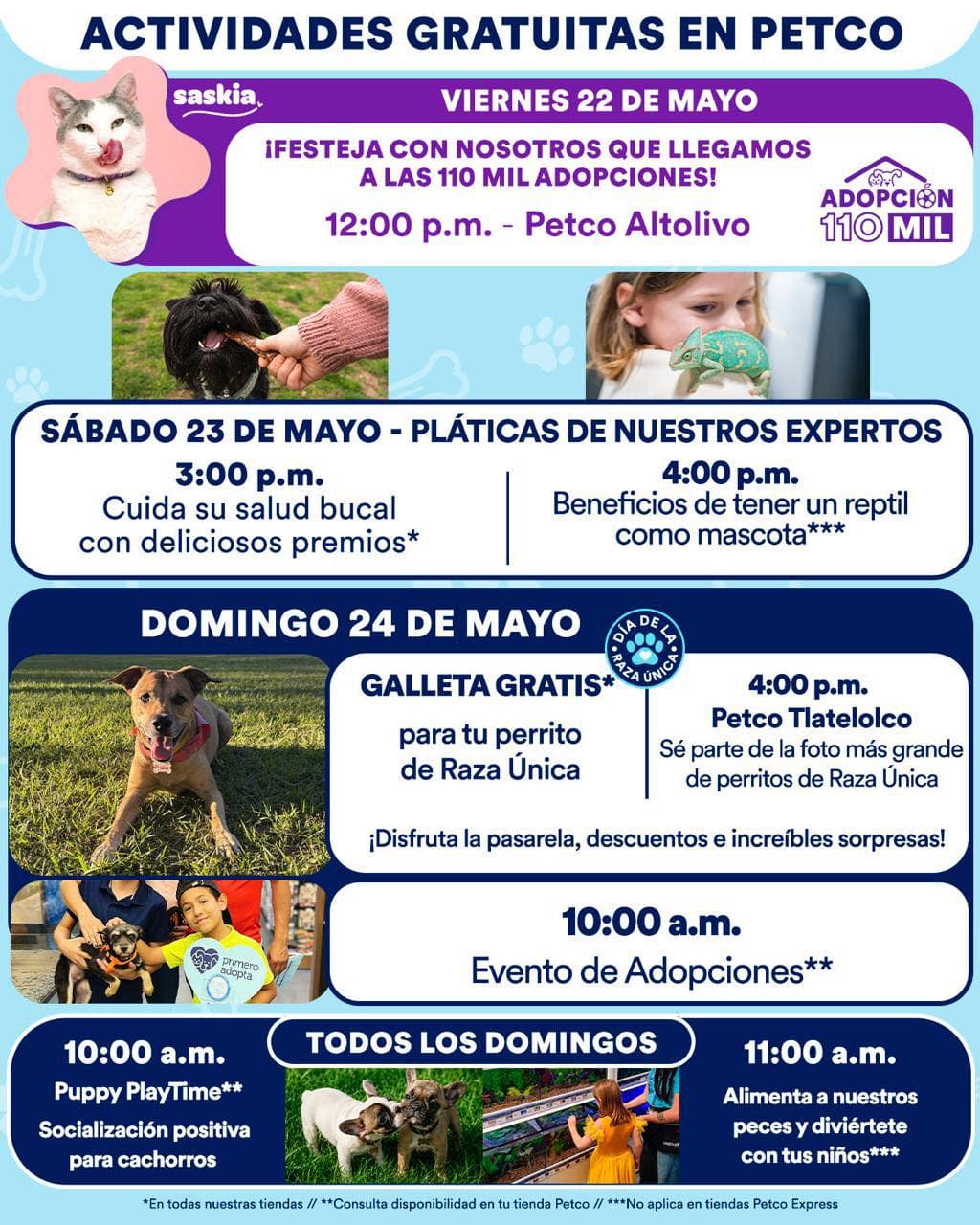 Actividades Gratuitas en Petco 23 y 24 de mayo: Salud Bucal y Reptiles