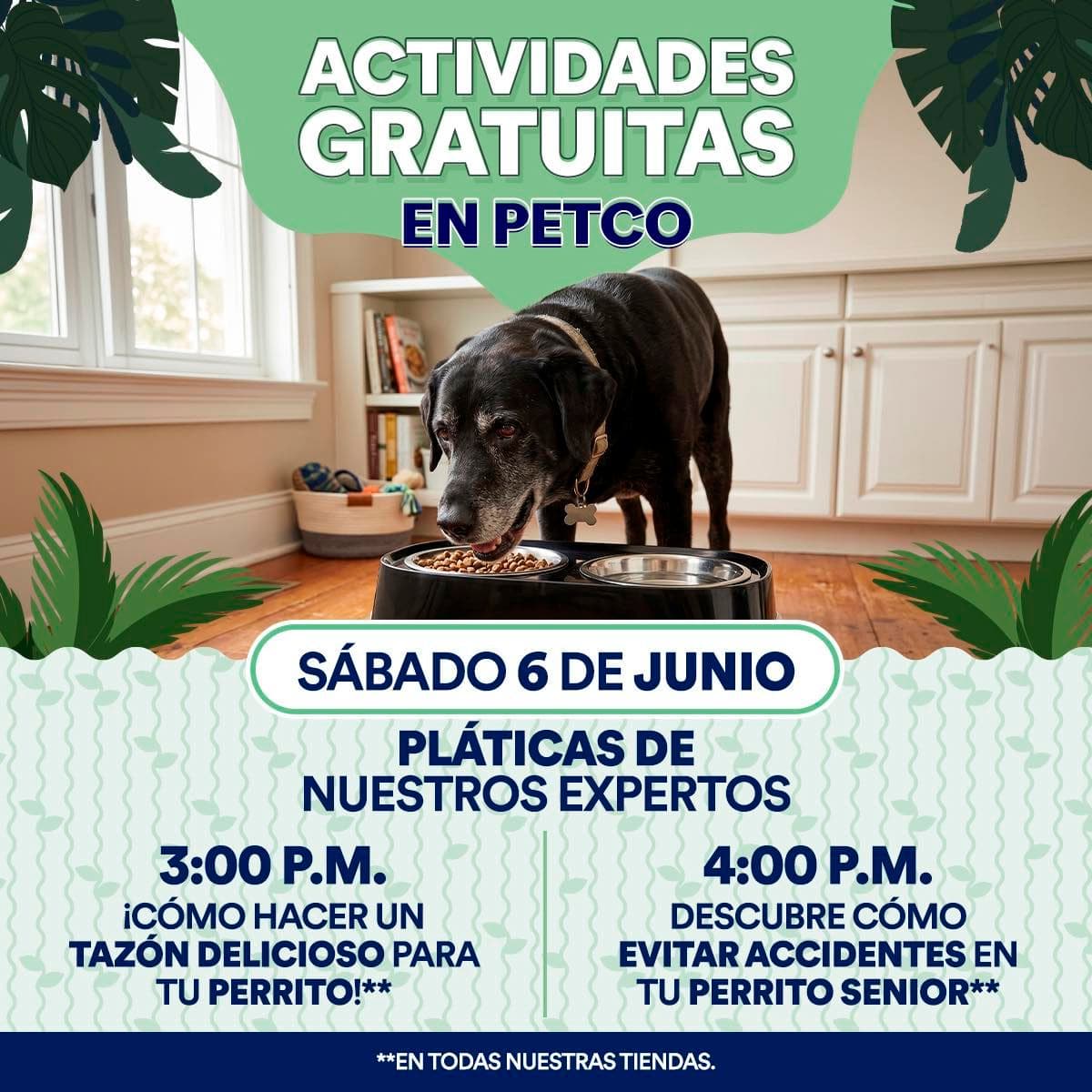 Actividades gratuitas en Petco 6 y 7 de junio 2026: cuida a tu perrito y aprende sobre reptiles